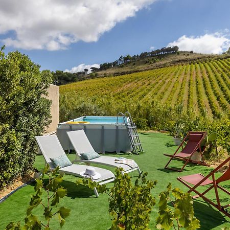 Villa Bonifato Vista Sulle Campagne E Sul Mare Siciliano Cozy House Italy Alcamo Zewnętrze zdjęcie
