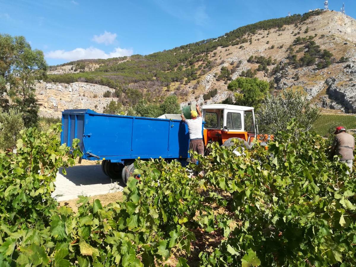 Villa Bonifato Vista Sulle Campagne E Sul Mare Siciliano Cozy House Italy Alcamo Zewnętrze zdjęcie