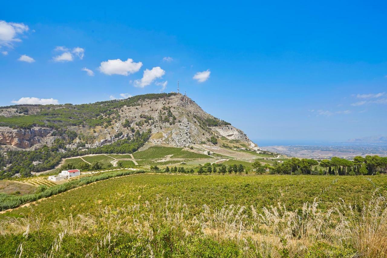 Villa Bonifato Vista Sulle Campagne E Sul Mare Siciliano Cozy House Italy Alcamo Zewnętrze zdjęcie